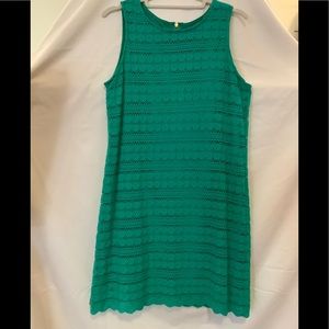 Woman’s Petite Medium Green Lace Dress